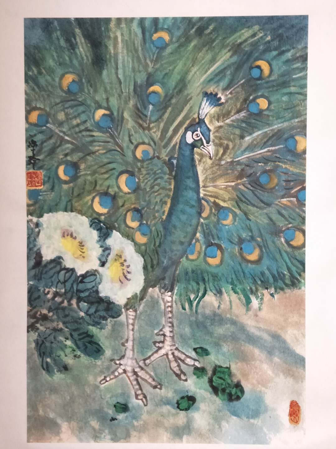 1520750457963911.jpeg 1520750457963911.jpeg