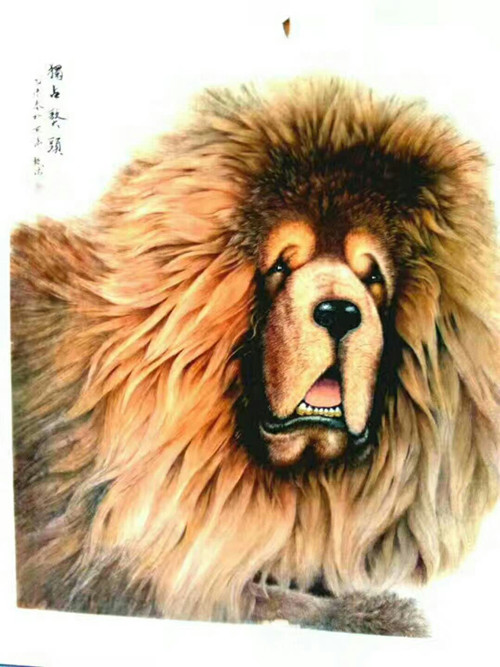 1548394629255866.jpg 99532299850575112_副本.jpg