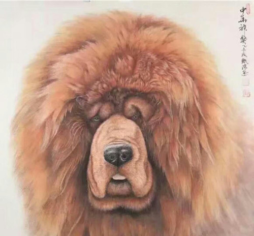 1548394664136798.jpg 121893549565055988_副本.jpg