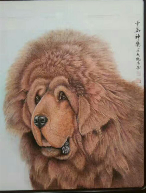 1548394802102738.jpg 864177893287858765_副本.jpg