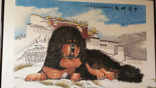 1548394810135838.jpg 899411268239733808_副本.jpg