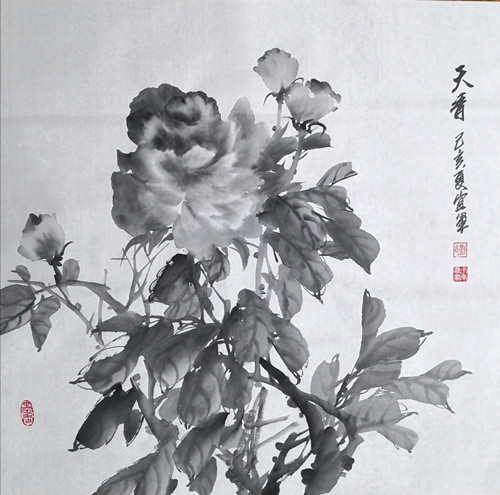 1572746209762996.jpg 438215853688068589_副本.jpg