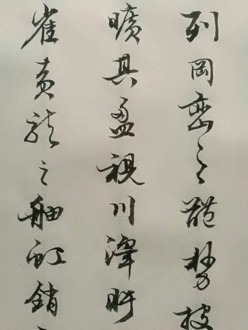 415776559469521662_副本.jpg