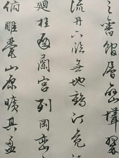 771643514710679231_副本.jpg