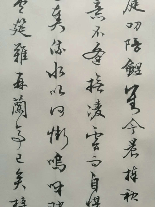 875066596391693416_副本.jpg