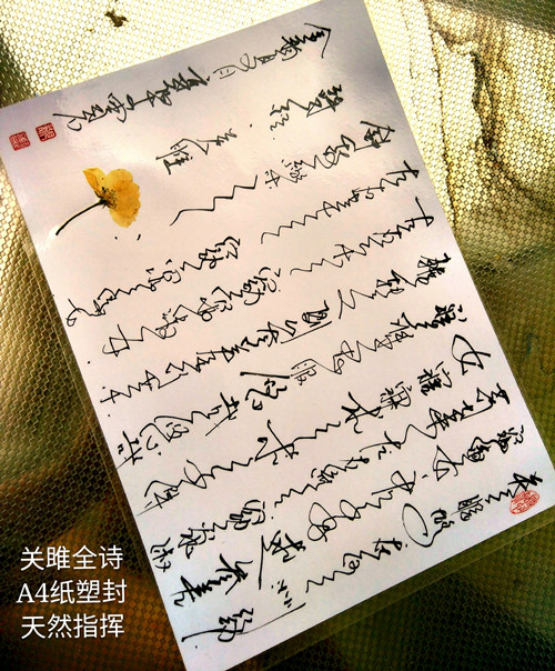 136255819400024678_副本.jpg